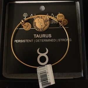 Alex and Ani Bracelet