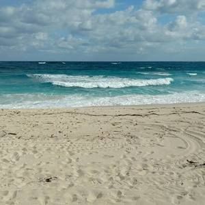 Meet your Posher, Terry