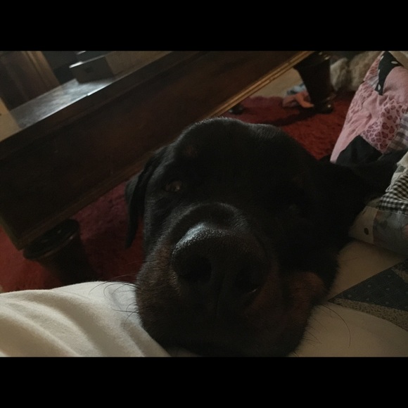 Meet your Posher, Annette - Picture 2 of 4