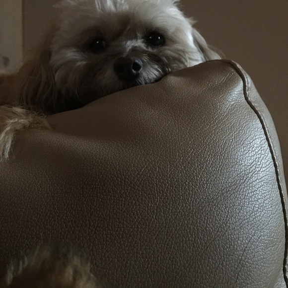 Meet your Posher, Annette - Picture 4 of 4