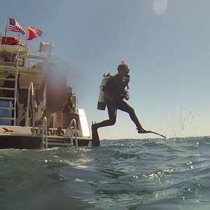 Meet your Posher, Jake