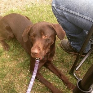 Meet your Posher, Kira