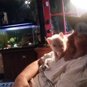 Meet your Posher, Elizabeth