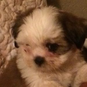 Meet your Posher, Yesika