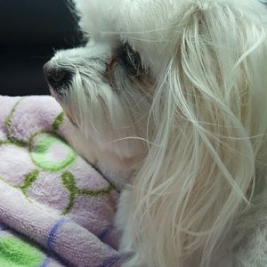 Meet your Posher, Karen