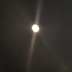 Meet your Posher, Doris