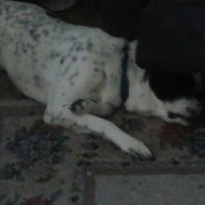 Meet your Posher, Kara