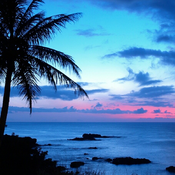 Meet your Posher, Crystal - Picture 1 of 1