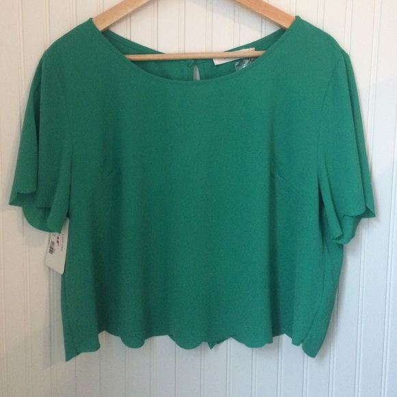 Brand New Scalloped Crop Top