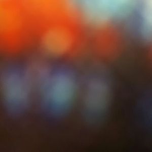 Meet your Posher, Honee