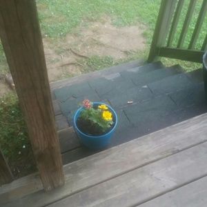 Meet your Posher, Tammy