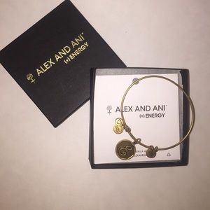 Alex and Ani E Bangle