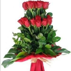 Meet your Posher, Liza