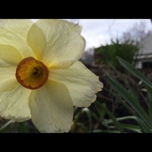 Meet your Posher, Sabrina