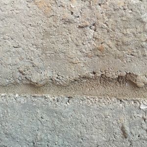 Meet your Posher, Tamie