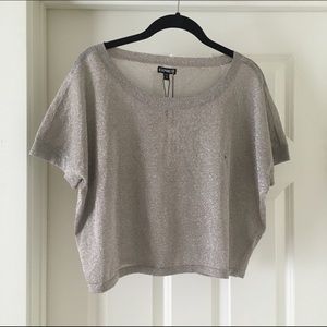 Express metallic crop top