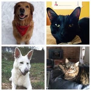 Meet your Posher, Magda