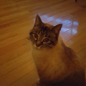 Meet your Posher, Joan