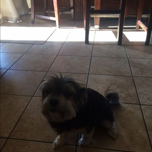 Meet your Posher, Sharon