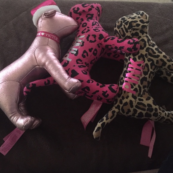 3 VS pink dogs