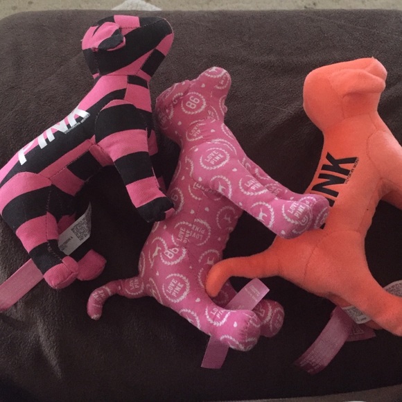 3 VS pink dogs