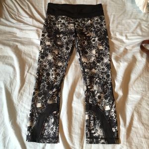 Lulu🍋 running crops