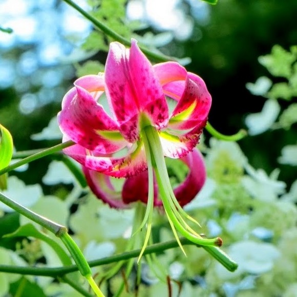 Meet your Posher, Edbuhy