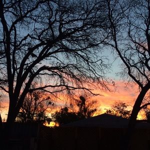 Meet your Posher, Kaytlyn