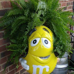 Meet your Posher, Betsy