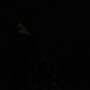 Meet your Posher, Shantrice