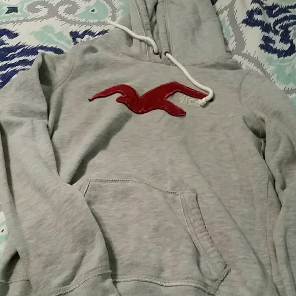 Gray Hollister Sweatshirt
