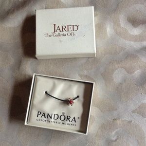 Pandora bracelet charm