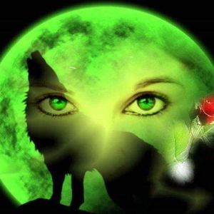 Meet your Posher, Christy