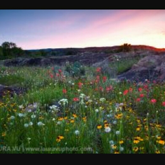 Meet your Posher, Rachel - Picture 1 of 1