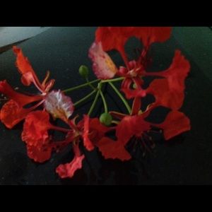 Meet your Posher, Deborah