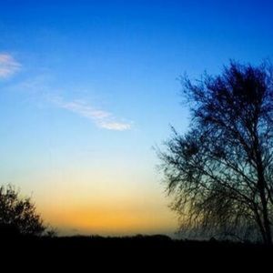 Meet your Posher, Sierra