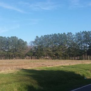 Meet your Posher, Ivan