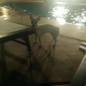 Meet your Posher, Edith