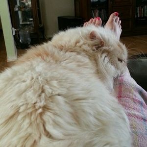 Meet your Posher, Michelle