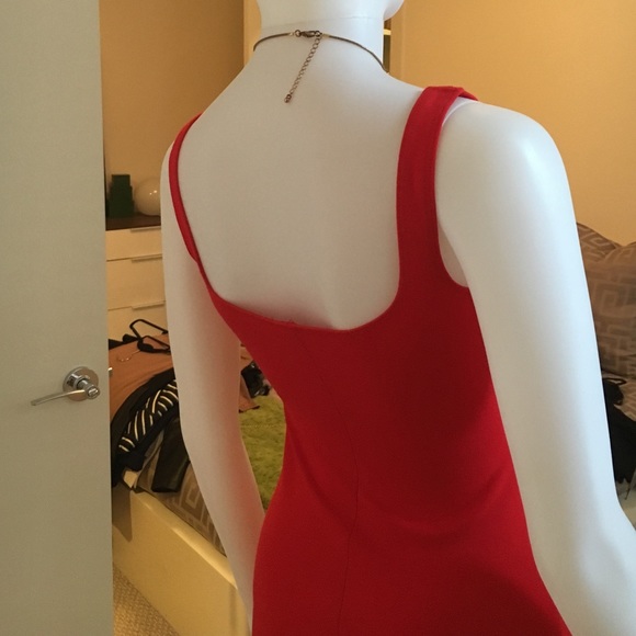 American Apparel Midi Dress - Picture 3 of 4