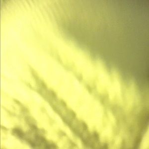 Meet your Posher, Payton