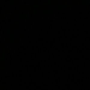 Meet your Posher, Loretta