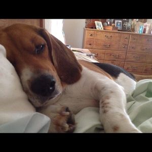 Meet your Posher, Chris