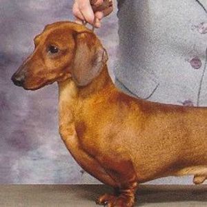 Meet your Posher, Debra