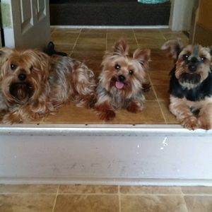 Meet your Posher, Kim