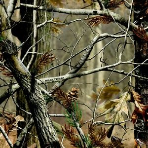 Meet your Posher, Carley