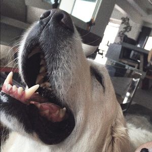 Meet your Posher, Aubrey