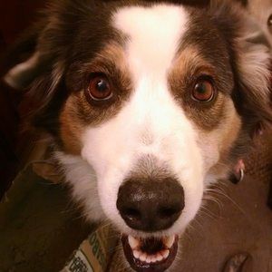 Meet your Posher, Connie