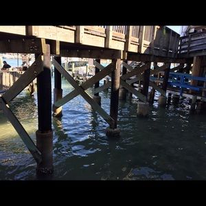 Meet your Posher, Tais