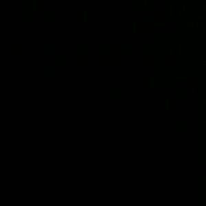 Meet your Posher, Sandy